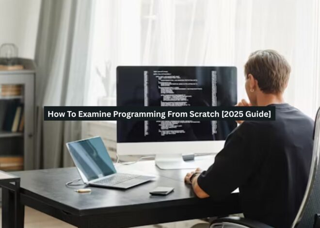 How To Examine Programming From Scratch [2025 Guide]